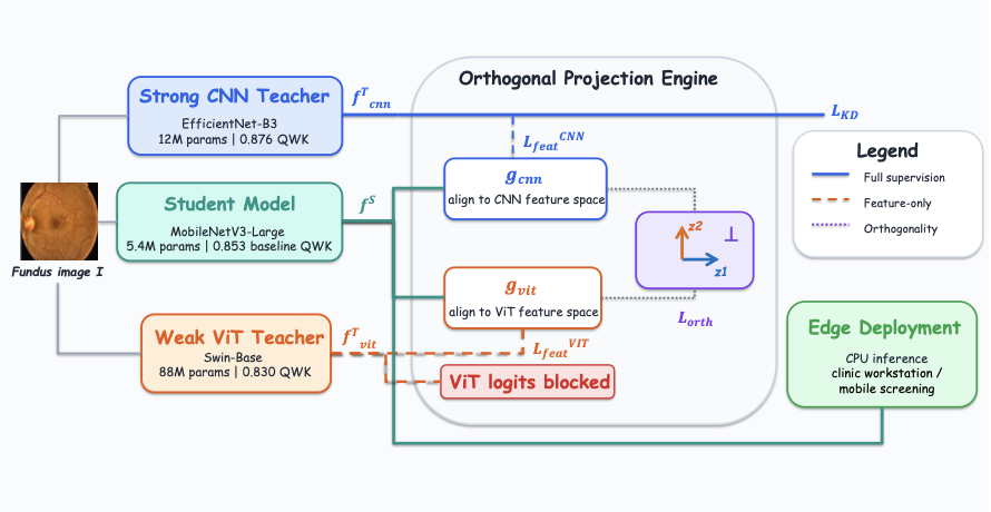 Figure overview for OrthKD: Extracting Generalized Clinical Knowledge from Heterogeneous Teachers for Lightweight Deployment